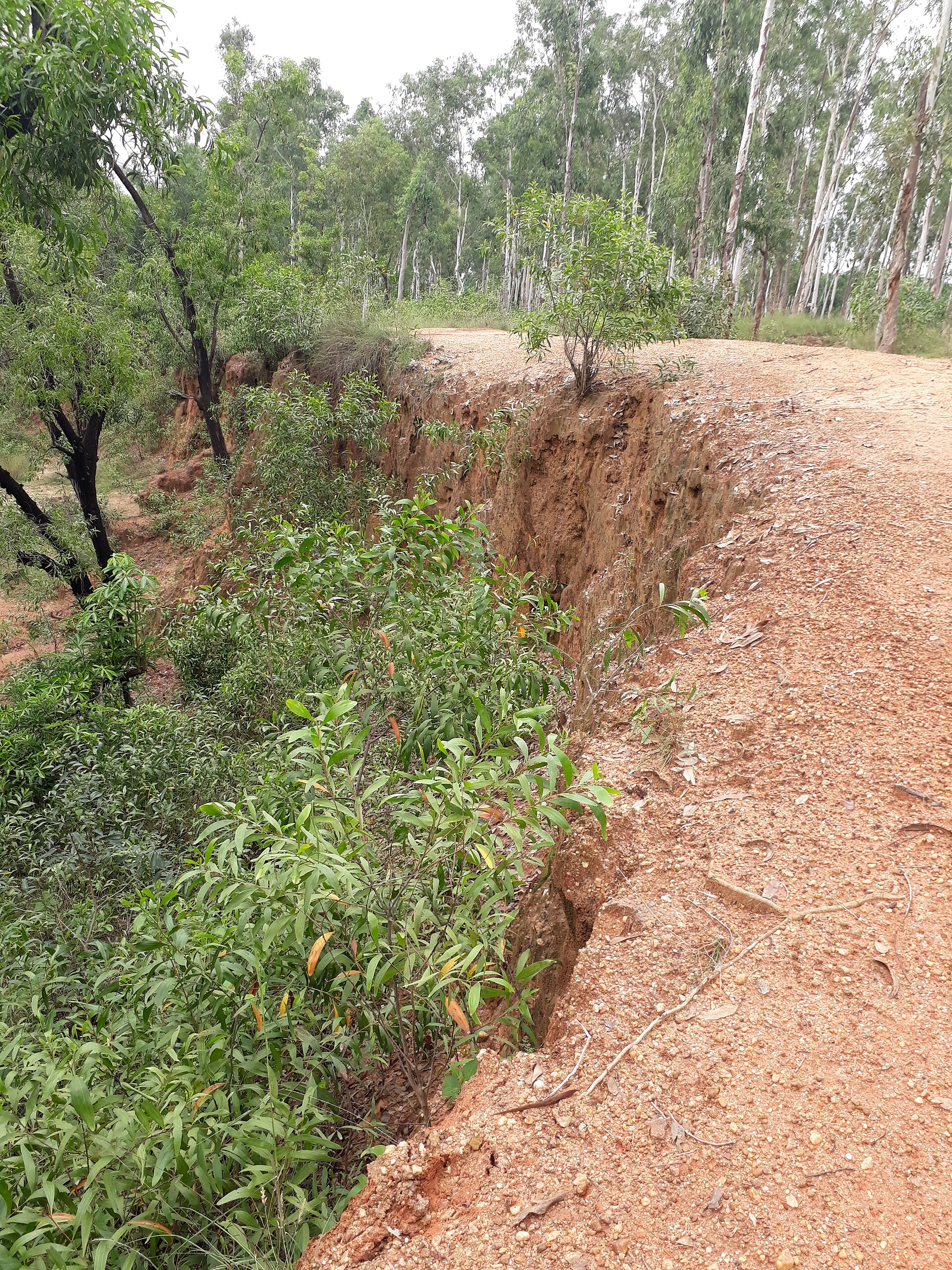 The Khoai — Lal Mati badlands of Birbhum