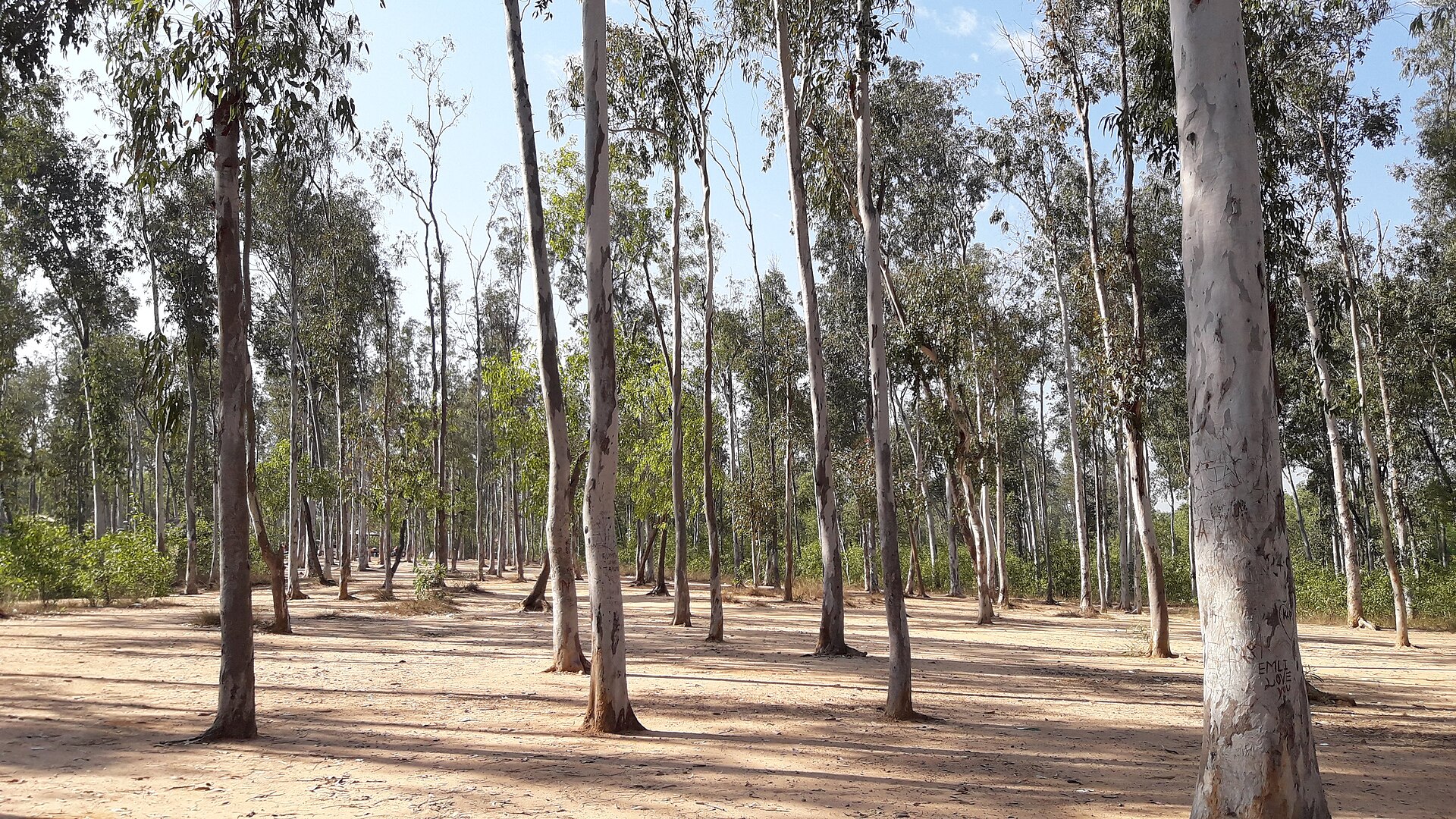Khoai at Santiniketan